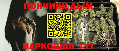 бошки Краснодар
