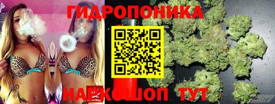 бошки Краснодар