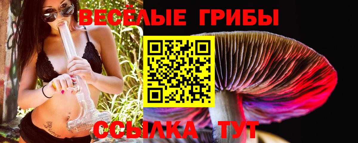 Галлюциногенные грибы Psilocybe Каменск-Уральский