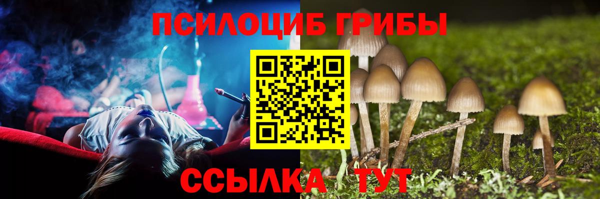 Каменск-Уральский  Галлюциногенные грибы мухоморы  Вход с VPN 